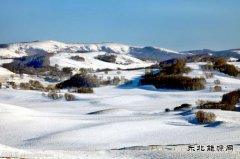 罕见雪景（摄影作品）
