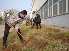 山东乐博体育重装集团乾元公司  战“疫”防控不忘植树 同心协力栽培
