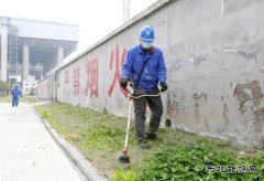 蒲洲热电：绿化厂区保安全