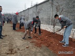 潞安焦化：组织全员开展春季植树活动
