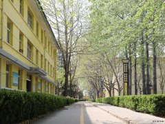 蒲白西固煤业：把“小家碧玉”打扮成“大家闺秀”促煤炭销售