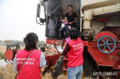 太康县公司：安全宣传进田间