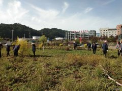 蒲白建庄矿业：开展矿区绿化打造美丽矿山