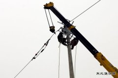 汤原供电公司：一条线路 壮大一个企业