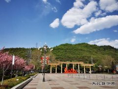 铜川矿业下石节矿：文明花开香满矿山