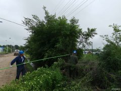 兴凯湖电业公司：盛夏全面清理树障 确保迎峰度夏、防汛安全供电