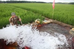 黑龙江兴凯湖电业公司：机井通电扶贫工程让农民走上幸福小康路