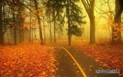 秋，最美的季节