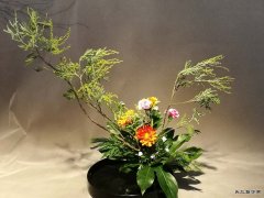 【闲情逸趣】插花