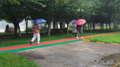 雨中晨练  别有洞天