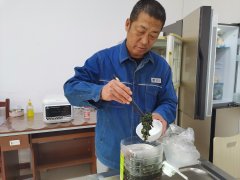 大兴安岭供电公司：电网大叔变身节约达人