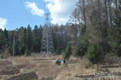 伊春供电公司：落实应急响应机制 防台风抢险准备充分