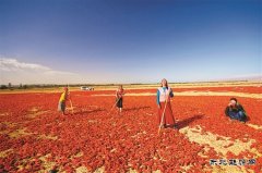 “乐博体育过上了好日子”