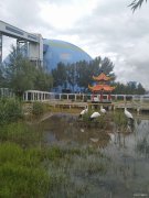 美丽企业我的家