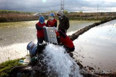 兴凯湖电业公司：电满黑土地 红红火火庆丰收