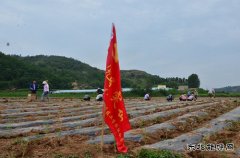 技校联合党委：党员亮身份树形象 争创五星“安全示范岗”