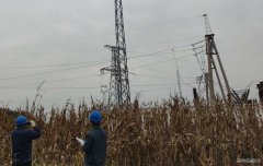 国网大庆供电公司：大同区老百姓用电终于有了“双保险”