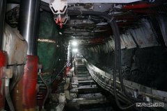 “18项科技”加持战“孤岛”，蒲白这么做