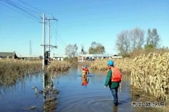佳木斯供电公司：全力巡检线路设备，柳树岛全面恢复供电