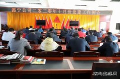 潞宁煤业公司召开10月份党建工作例会