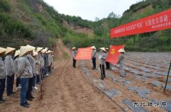 蒲白矿业技校联合党委：“党建+”引领产教融合“跑起来”