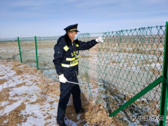 羊群闯高速，路政交警化身“赶羊人”