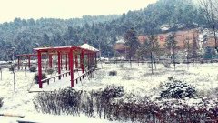 雪之感受 雪之安全——记2020年建新煤化第一场雪