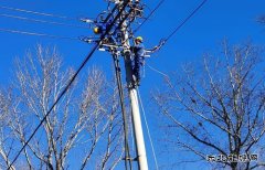 伊春供电公司：开展“党建+安全生产”特巡 确保冬季电网安全运行