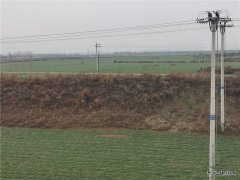 蒲白铁运公司：窗外那一片柔绿