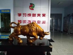 不待扬鞭自奋蹄——2021新年贺词读后感