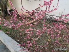 乐博体育的故事