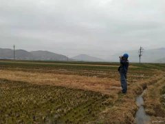 会泽娜姑供电所开展线路设备巡视做好春耕保电工作