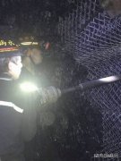 蒲白煤矿运营公司：这个队硬气，更“牛气”