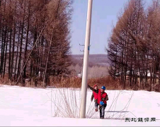 兴凯湖电业公司：最美人间三月天，踏雪巡线正当时