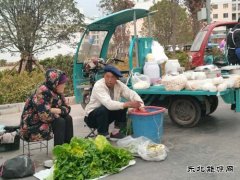 愿生活每天充满阳光