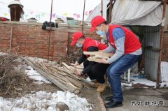 黑龙江大庆肇源县电业局：在“与爱同行”中传承雷锋精神