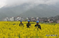 源县供电公司：积极备战 为油菜花旅游旺季提供可靠电力保障
