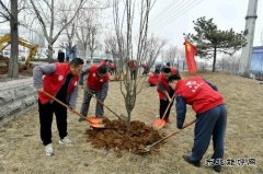 潞安焦化：开展“学党史、植绿树，为团旗添彩”志愿活动