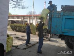 陕煤蒲白热电公司：环境清理小切口  共绘文明创建大美图