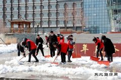 兴凯湖电业公司：“学党史 办实事”铲冰除雪暖人心
