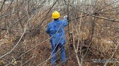 伊春供电公司：多措并举打出森林草原防火组合拳