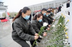 太康县供电公司：清明祭英烈 精神永传承