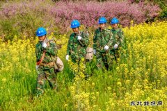 江西婺源：花香“电亮”农家乐