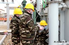 黑龙江兴凯湖电业公司：“党建+春检”筑牢供电安全防护网