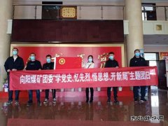 向阳矿团委组织开展“学党史、忆先烈”主题团日活动