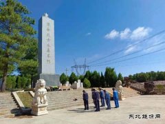 会泽供电局火红供电党支部主题党日活动祭奠英烈