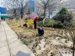 陕煤陕北矿业涌鑫公司：添绿抖尘  矿区处处展“新颜”