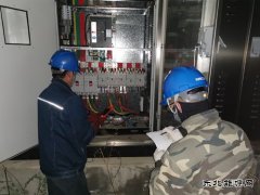 阿尔山供电：助力“杜鹃花开”花季旅游，共享阿尔山梦幻春色