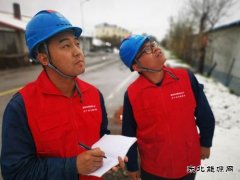 国网大兴安岭供电公司：雪后特巡 保电在行动