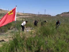 戈壁深处党旗红　